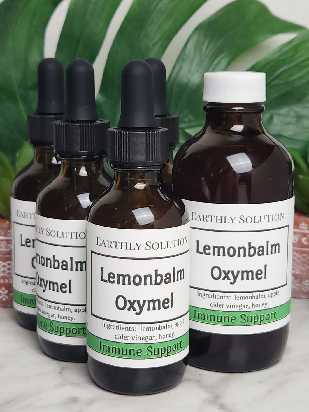 Lemonbalm Oxymel Earthly Soap Goods