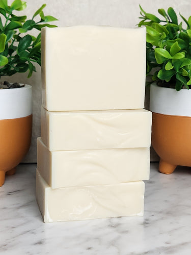 Plain Jane Soap Earthly Soap Goods