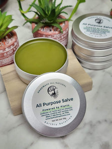 All Purpose Salve Earthly Soap Goods 