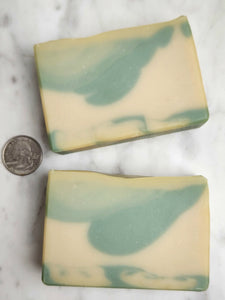 Sugared Spruce Soap Earthly Soap Goods