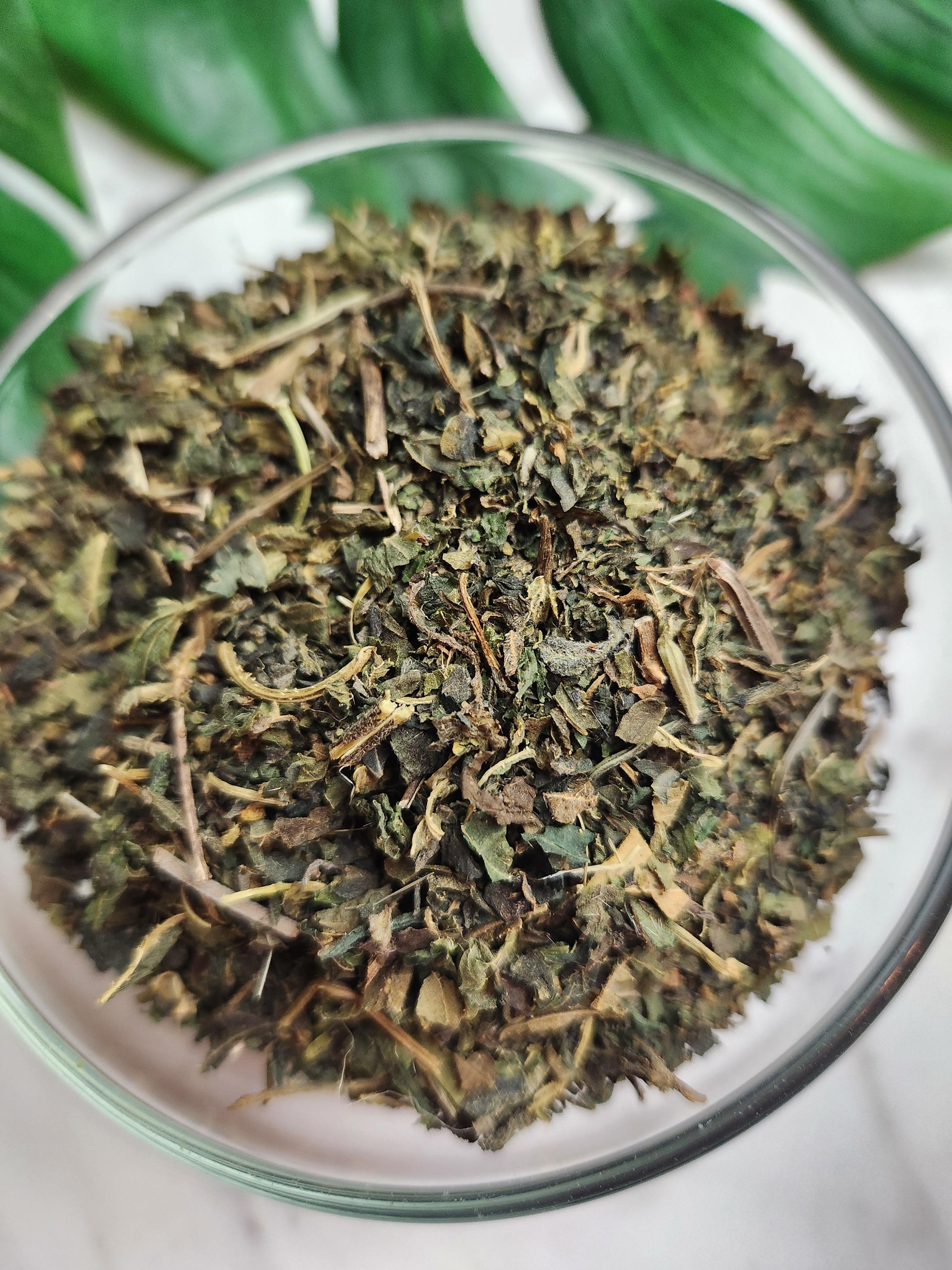 Nettle Leaf