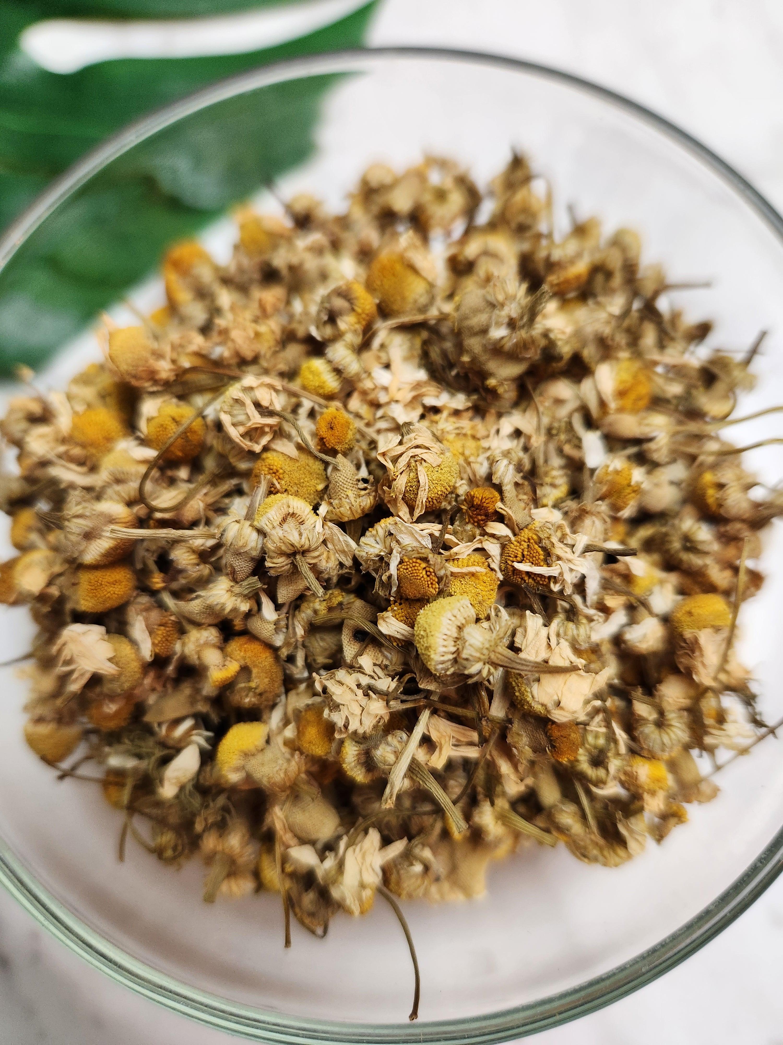 Chamomile