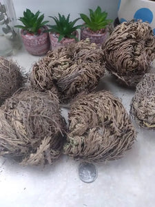 Rose of Jericho Earthly Soap Goods
